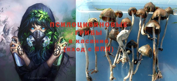 тгк Аркадак