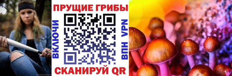 Купить закладки  Бутурлиновка  Галлюциногенные грибы Psilocybine cubensis 